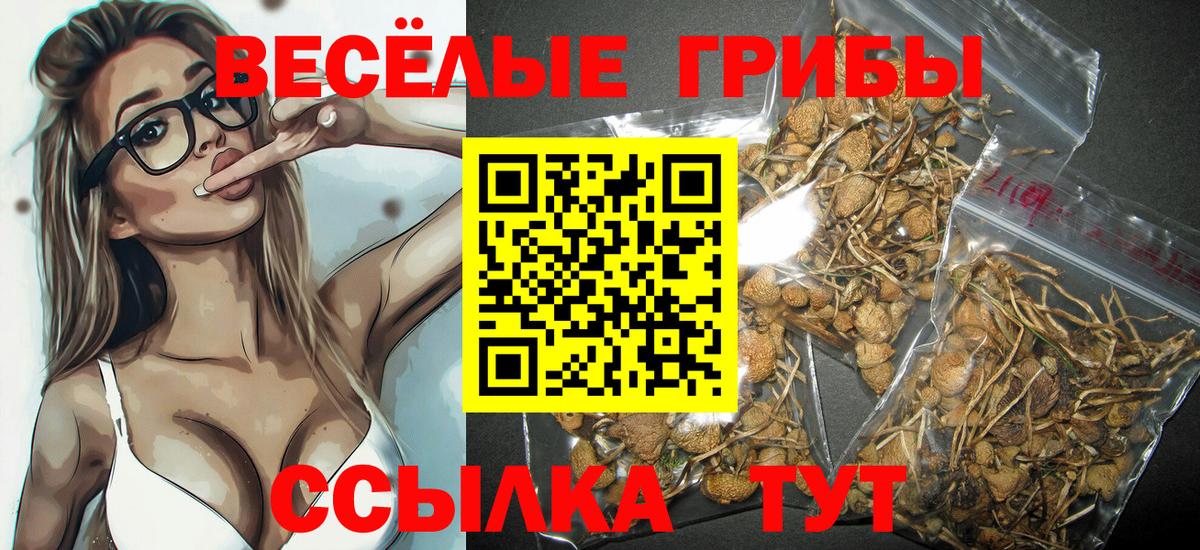 Псилоцибиновые грибы мицелий Губкин