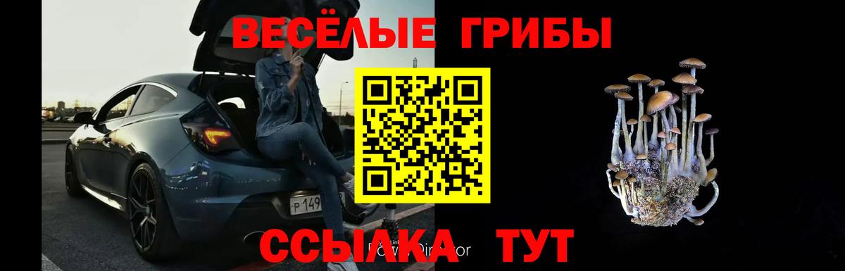 Губкин  наркота  Вход с VPN  Галлюциногенные грибы Magic Shrooms 